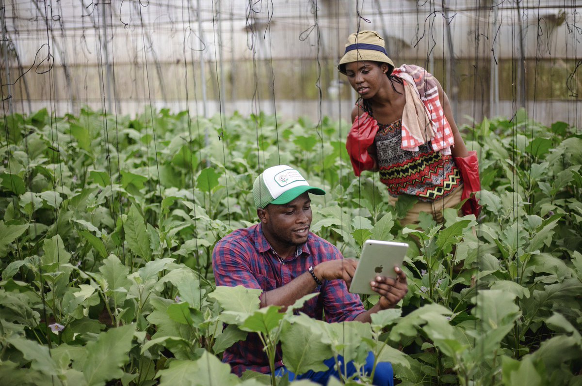This #FinalistFriday, we highlight #P3Impact Award Finalist Kosmos Innovation Center for its #partnership dedicated to providing training, mentorship &amp; other resources to young Ghanaian entrepreneurs to bring #innovation to development sectors <a href="/DAIGlobal/">DAI</a> <a href="/KosmosEnergy/">Kosmos Energy</a> <a href="/MESTAfrica/">MEST Africa</a>