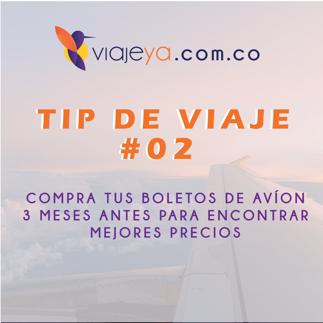 ViajeyaC tweet picture