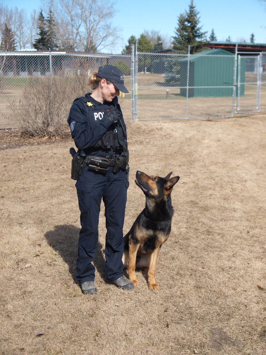 police dog services