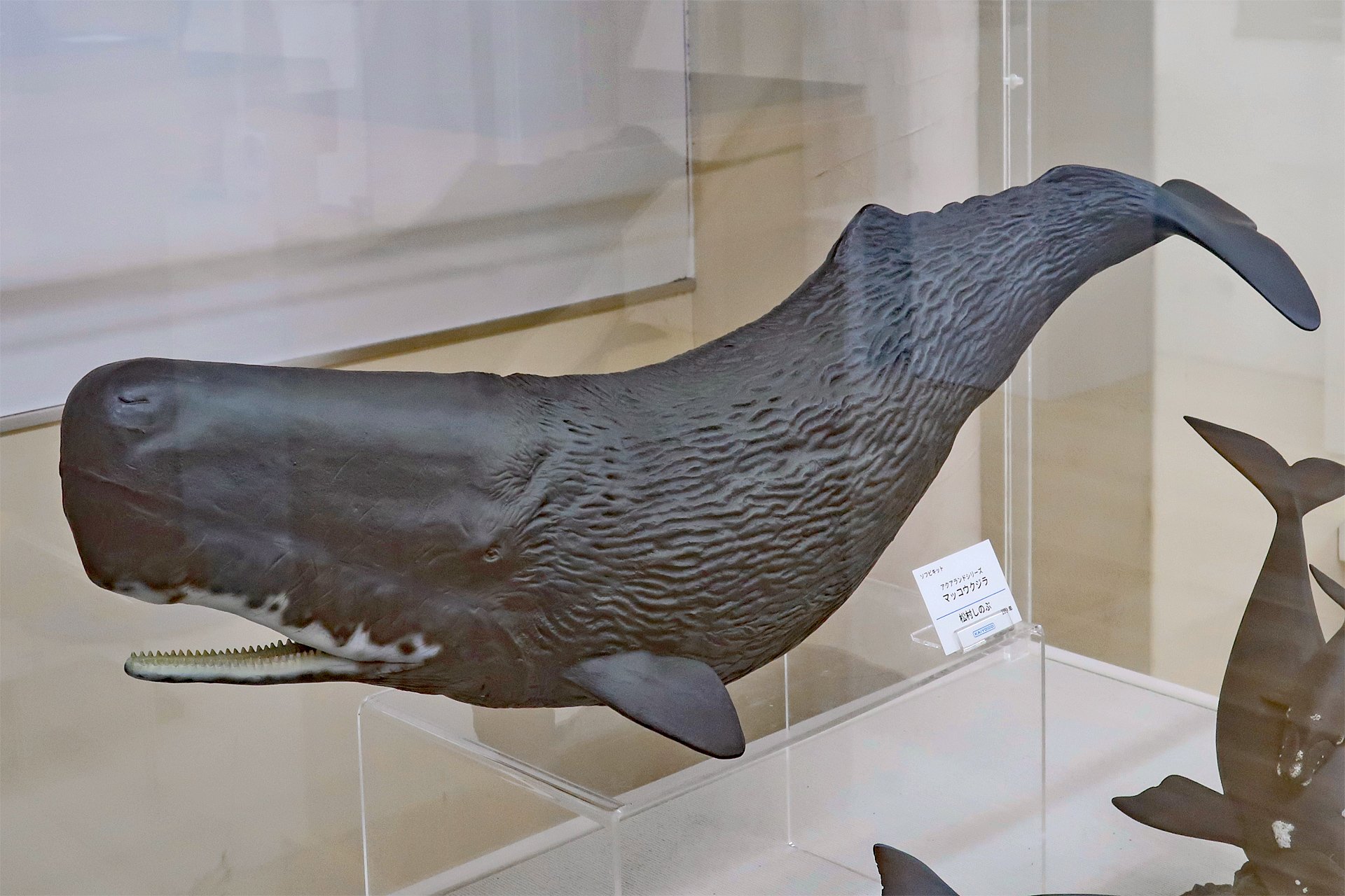 海洋堂 アクアランド 松村しのぶ セミクジラ親子 ガレージキット 海洋