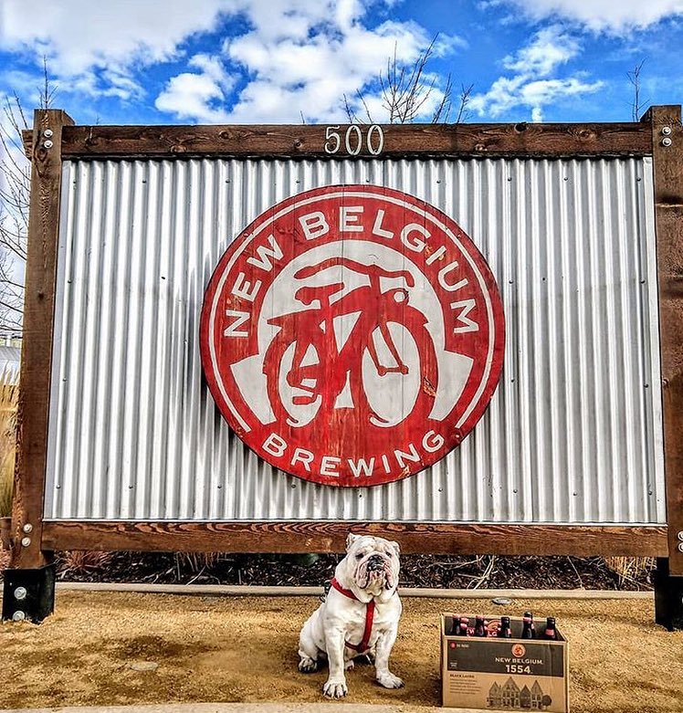 surlybrewing tweet picture