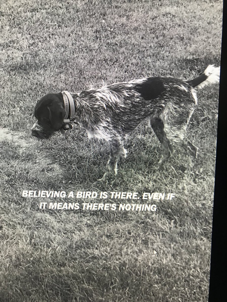 APWBauer's tweet image. 