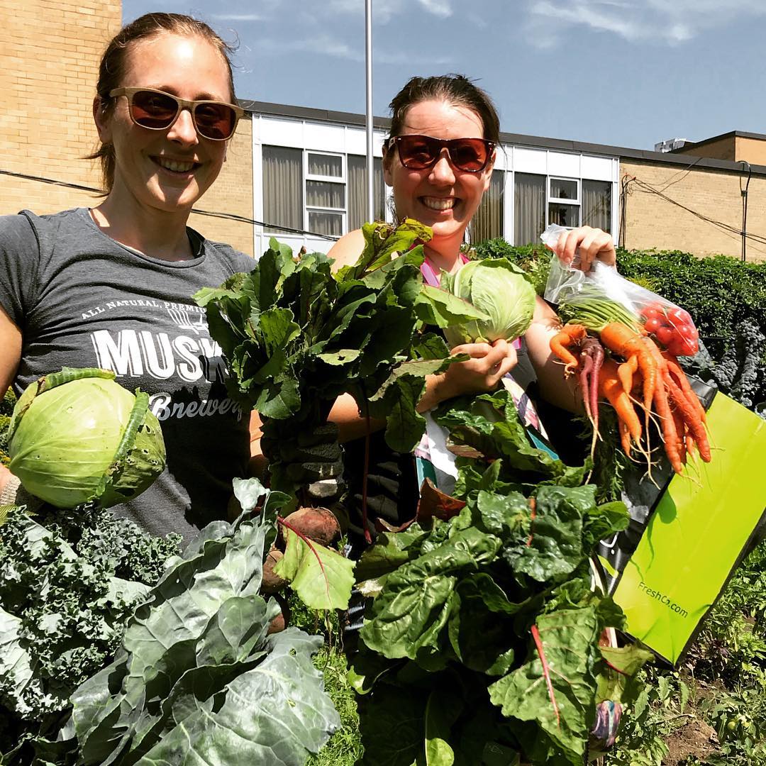 So much from our urban farm at #MossParkMarket on Queen St. this weekend, come by Friday till 6, Saturday 10-5. Just picked, sustainable and super local - celery, callaloo, kale, tomatoes, herbs, and Ontario too! Big bunches of greens just $1.50 each. <a href="/BuildingRootsTO/">Building Roots</a> <a href="/TOHousing/">Toronto Community Housing</a>
