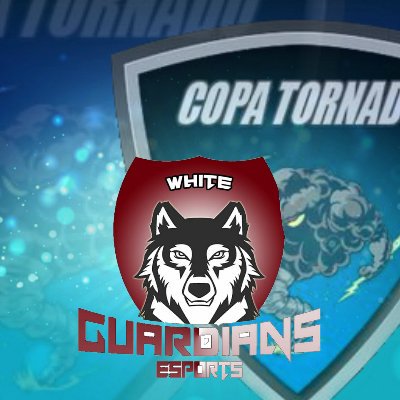 14/16 Un equipo que aspira a dar la sorpresa y ser campeón "Bienvenidos" @WhiteGuardians_