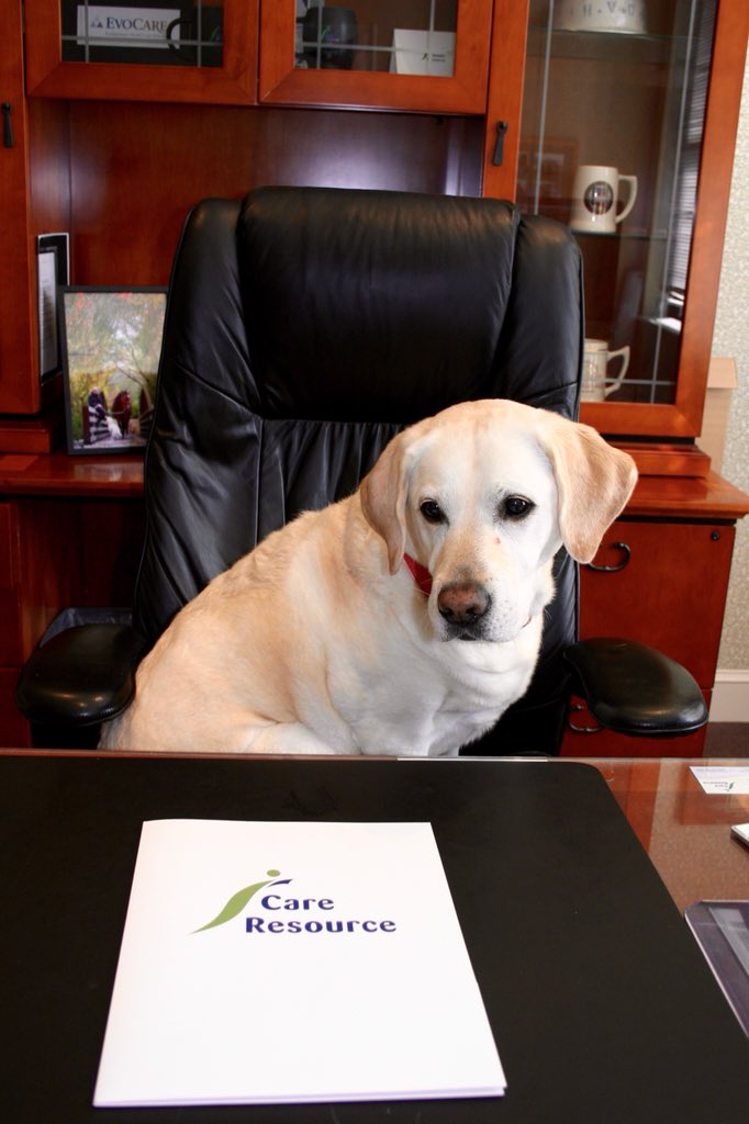 Care_Resource's tweet photo. 10 years ago, when we started our mascot,Baci, was a puppy, &amp; today he remains our dedicated leader. Tonight we celebrate the success this last decade has brought us, where the future will take us, &amp; of course, our Baci!
 #10yearanniversary #10yearsofbusiness #homehealthagency https://t.co/U1KfpKrGTh