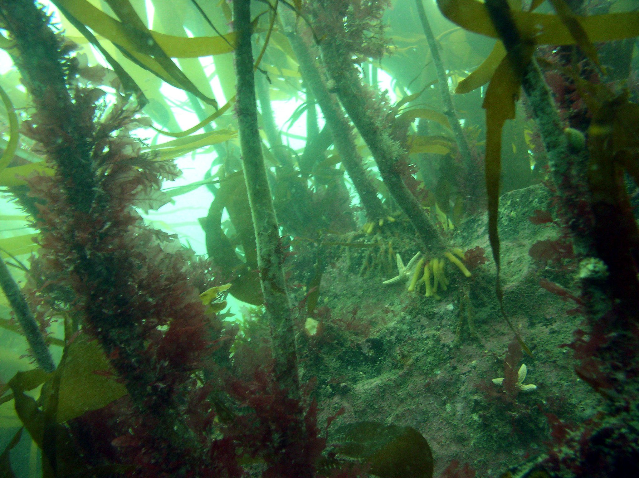 Marine Conservation Society on Twitter: "The mechanical dredging of