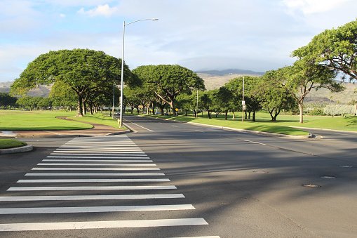 #NewData: 4 out of 5 adults favor safer street design for walking even if driving is slower: go.usa.gov/xPaZ4