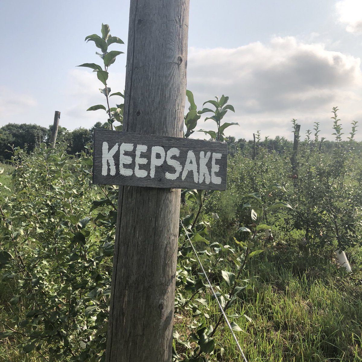 ALMAmpls's tweet image. We still have a few tickets available for a tasting dinner with local growers and cider producers Nate &amp;amp; Tracy from @keepsakecidery 
Join us for a great food and beverage experience next Monday at 6pm. More details or purchase tickets at bit.lyKeepsakeAlma