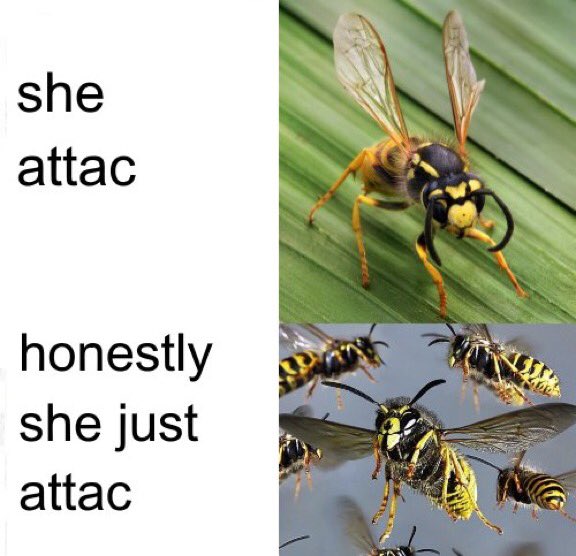 non aesthetic things tweet media