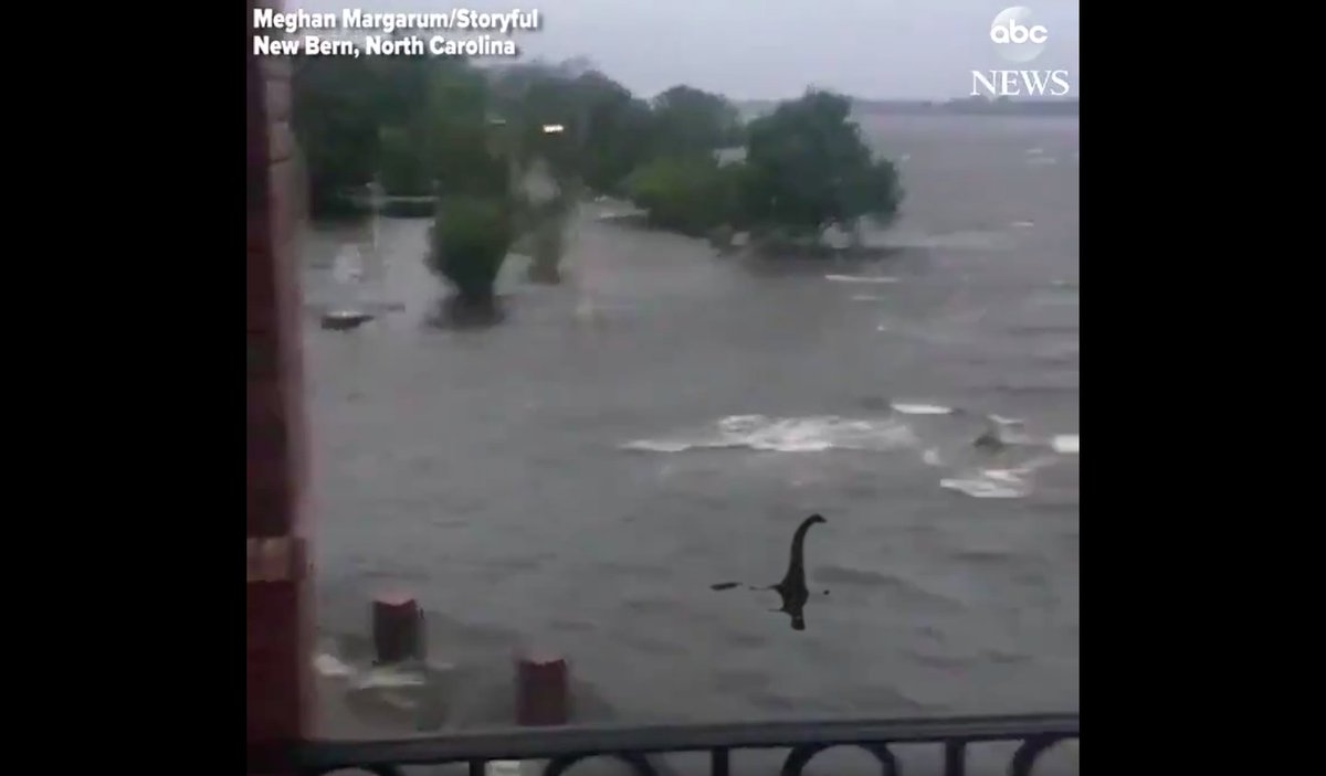 ThatCaneFlo's tweet photo. Crazy footage on ABC right now. #HurricaneFlorence https://t.co/ylFBjmpSCN
