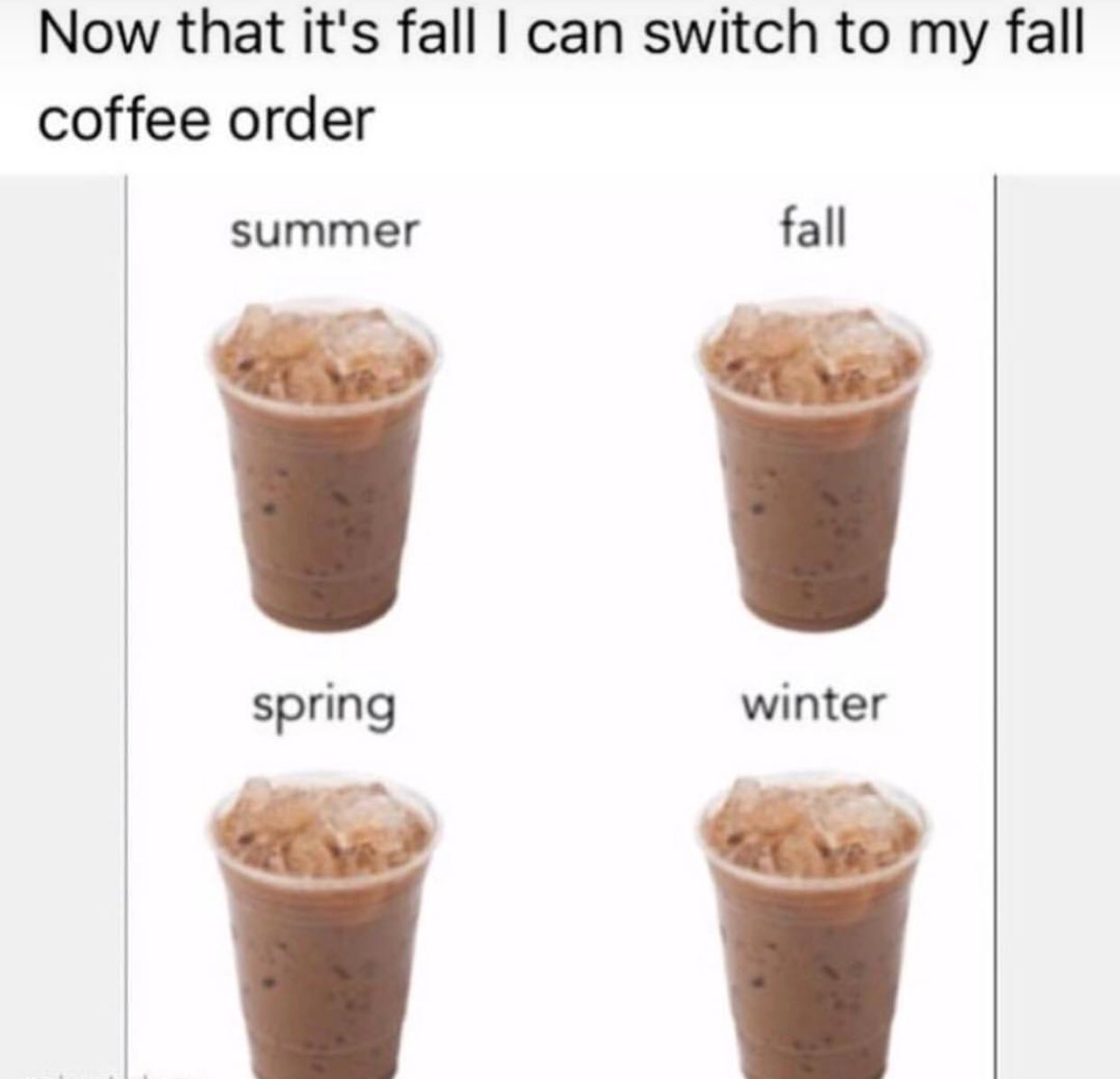 Why Is Iced Coffee So Gay?