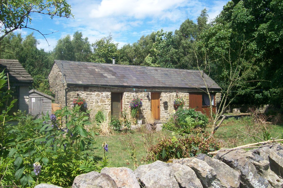 Silk Hill Stables On Twitter We Have Friday 19 October Available