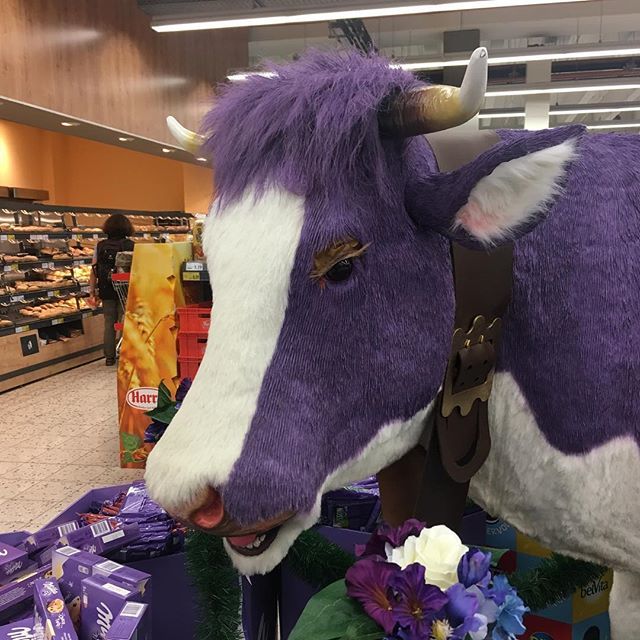 Made a new friend today!!! Was going to make a cow joke but resisted, we’ll leave that to you....
.
.
#thelovetectonic #tlt #moo #purple #milkymilky #friday instagram.com/p/BntgQBoBQgh/