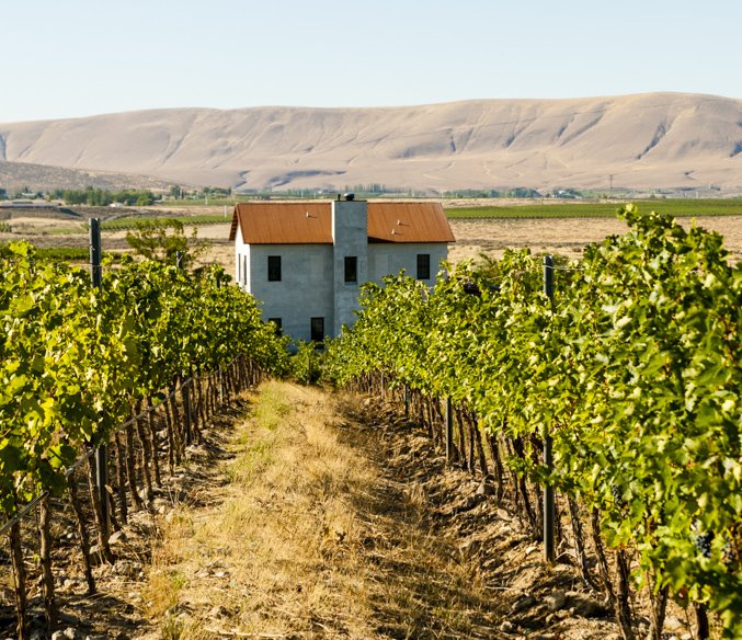 So much history. Yakima Valley was the first AVA recognized in the PNW. Upland Vineyards and original winery building. #harvest18, #Yakima Valley #Washingtonstatewine