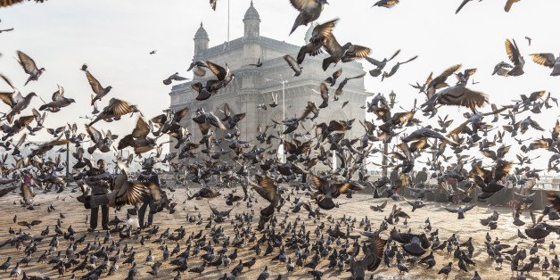 poetswritersinc's tweet photo. #WritingPrompt: Write an essay inspired by the feathered friends that fly in and out of your day. What memories or emotions do birds bring to mind? #YearOfTheBird #TTIN https://t.co/d1RkA4AYO9 https://t.co/FtYBJaLZq9