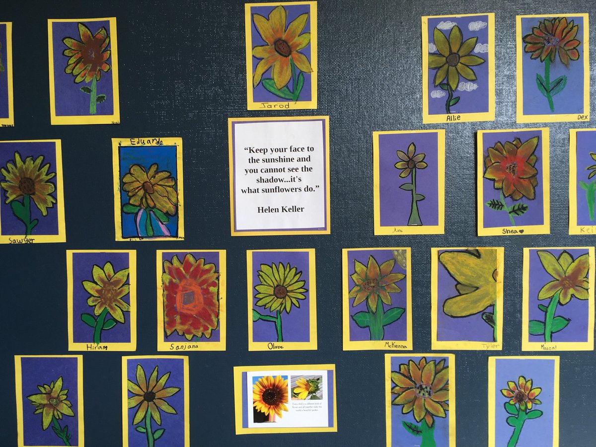 Please enjoy our beautiful sunflowers! 🌻