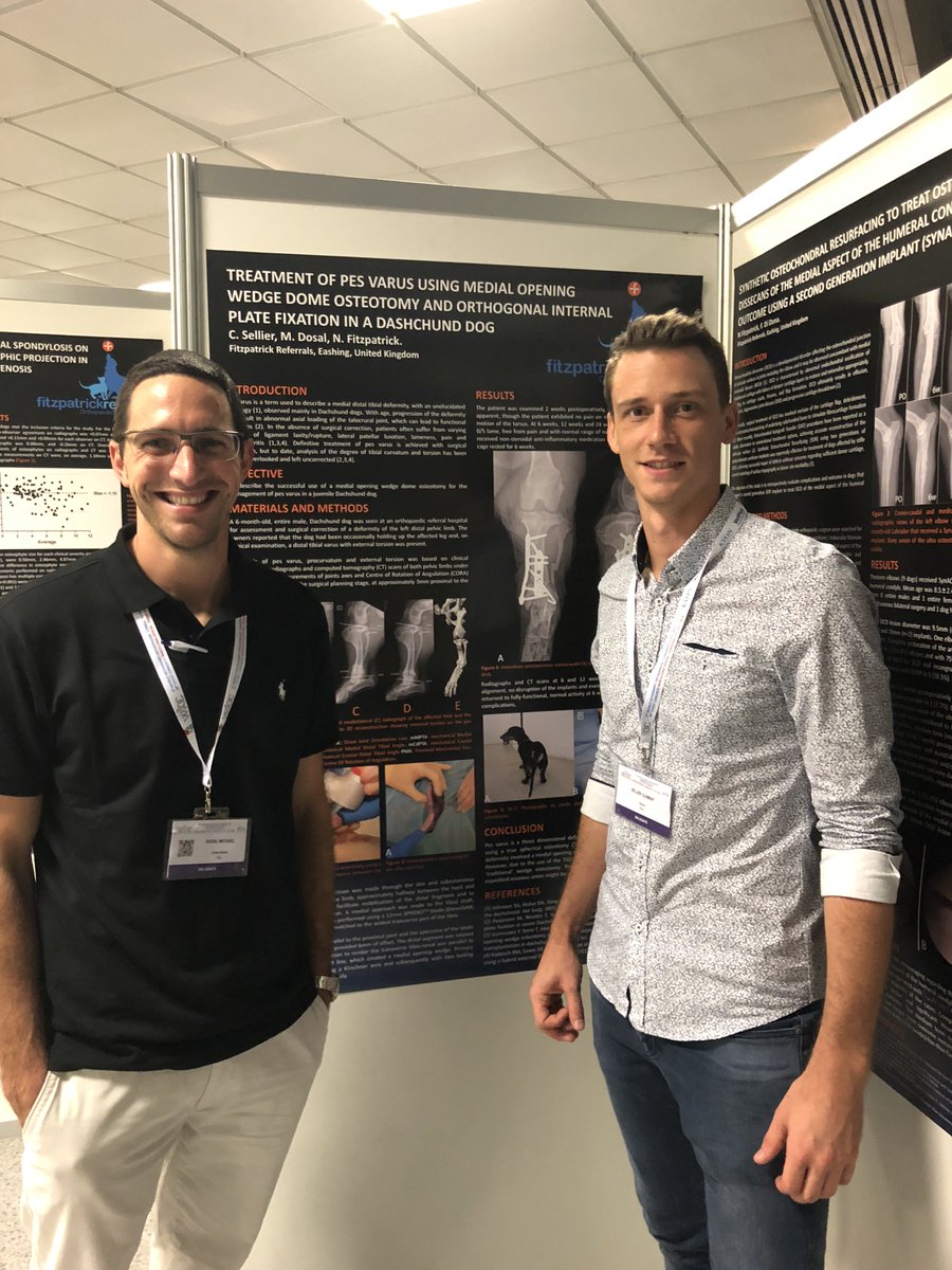 fitzpatrickref's tweet photo. Great to see Fitzpatrick Referrals represented in force at #WVOC2018 Congress in Barcelona. Noel & Laurent are giving 4 talks each, there are 5 poster abstracts by interns past & present! 👍#WVOC https://t.co/uHPvemTd2P