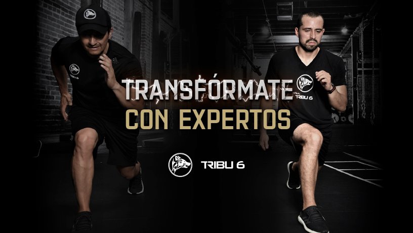 Tribu6Col's tweet photo. Nuestros campeones están preparados para que desarrolles tus habilidades al máximo, ellos y el apoyo de tu manada te ayudarán a lograr tus objetivos en 6 semanas.

Sede Calle 95: https://t.co/Va8sq8u0qN  Sede Chía: https://t.co/CtqVPifNaH https://t.co/sNOqFfaTEl