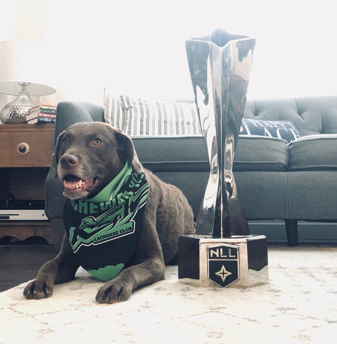 SaskRushLAX's tweet image. 📍 Navigate the @NLL Cup | Back to Saskatoon for 2 weeks, here are some photos from @BMydske02 with the #NLLCup in Vancouver, BC.