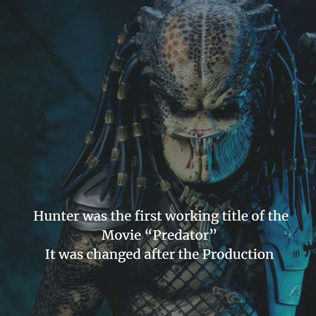 The Predator Fan Store tweet media