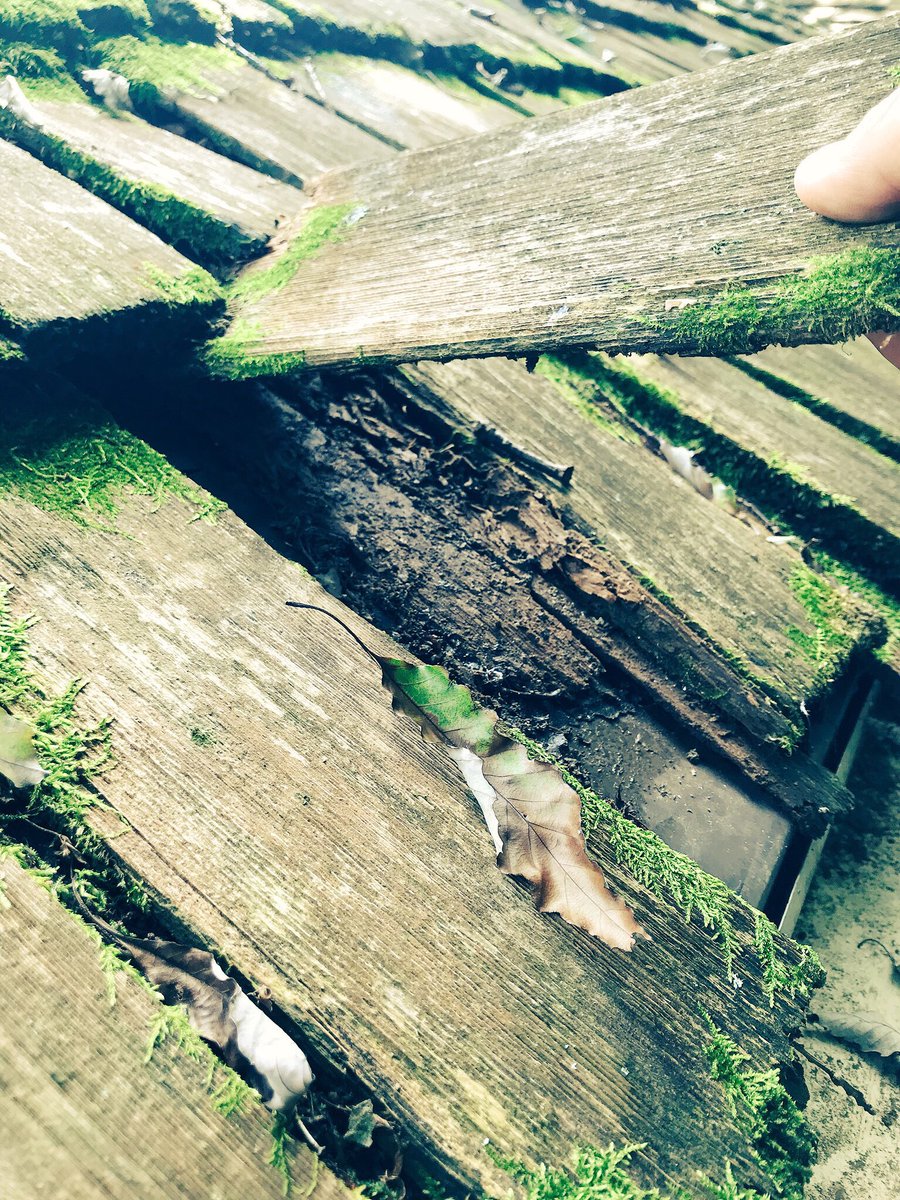 The Roofing Guys tweet media