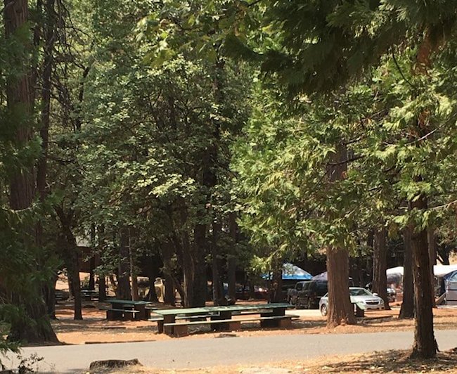 GoldCountryCR's tweet photo. We're welcoming BAMA - The Bay Area Mustang Car Club - today and the Pororto Family Reunion. It's going to be an amazing weekend!
#goldcountrycampground https://t.co/5KstmJ8NHb