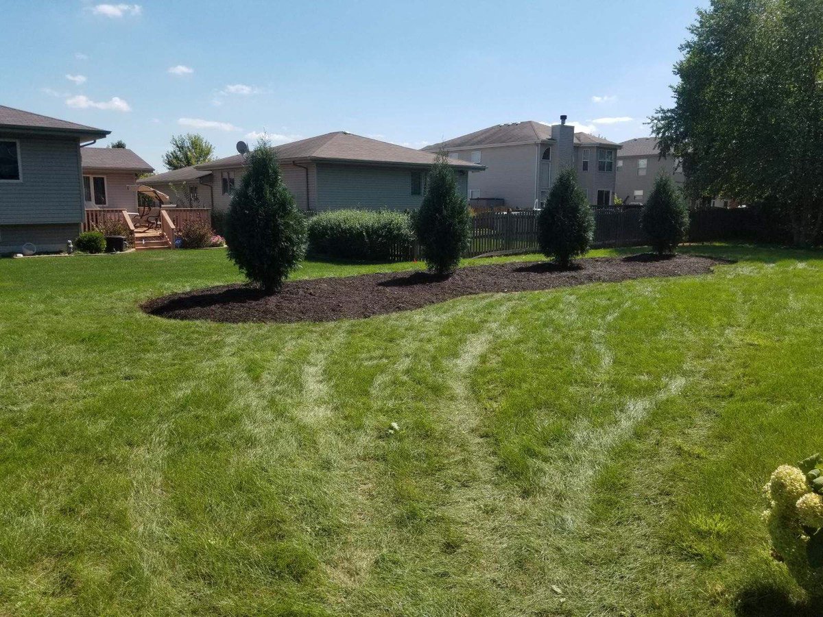 iTreesChicago's tweet photo. It's amazing what a few Techny Arborvitae can do for the landscape and over the years they will fill in and add wonderful interest and year-round privacy. What do you think? 🤔

#itrees #chicagolandtrees #treesdelivered #treesinstalled #treeplanting #privacytrees #beforeandafter https://t.co/e687hxlIvg