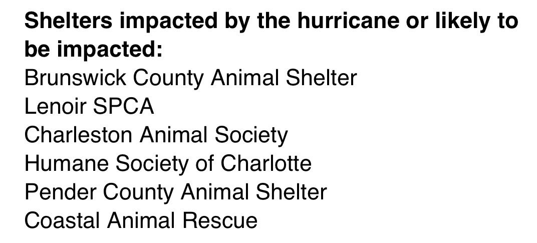 WeRateDogs (@dog_rates) on Twitter photo This is Bologna. She was taken in by <a href="/lostdogrescue/">Lost Dog & Cat Rescue</a> ahead of Hurricane Florence. You can find ways to help them save more animals by clicking below. I’ve also attached images of shelters/rescues that could use donations, fosters, and any love you can give
bit.ly/LDCRFFlorence This is Bologna. She was taken in by <a href="/lostdogrescue/">Lost Dog & Cat Rescue</a> ahead of Hurricane Florence. You can find ways to help them save more animals by clicking below. I’ve also attached images of shelters/rescues that could use donations, fosters, and any love you can give
bit.ly/LDCRFFlorence