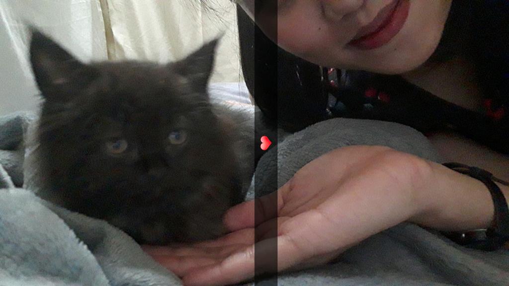 GuiaoPamela's tweet photo. Welcome to your new Hβ€ME! π #BabyPepper https://t.co/qGhCO546p3