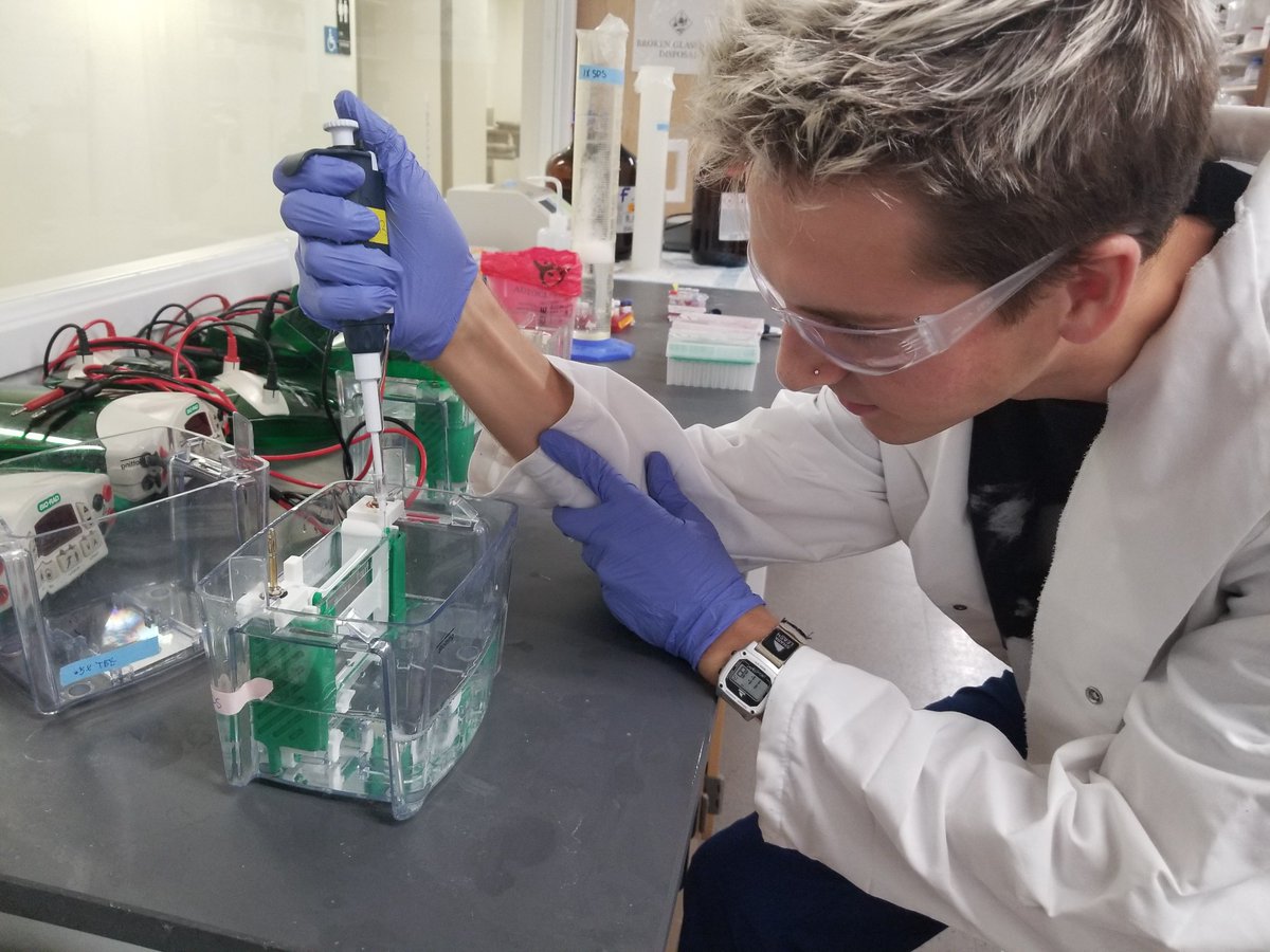 FRI_UT's tweet image. Just a #biobricks student #mutating proteins on this #happyFRIday.  #nobigdeal