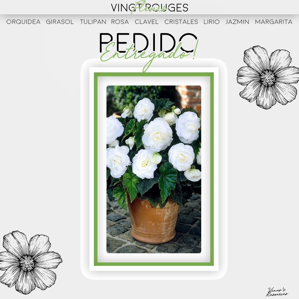 ❝Cher bxlaxm; @bxlaxm.❞

                                 Nini te ha dejado un increíble ramo de begonias rojas y blancas sólo para ti ¡esperamos que sea de su agrado!

                                         —VFR. 🌸