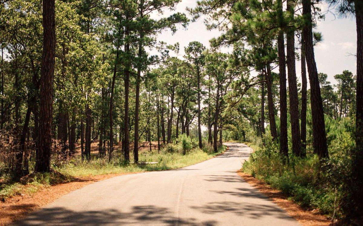 Wake up and smell the outdoors! Grab your bike and head out to these scenic routes in Texas, open to all cyclists and adventure seekers. 🚴‍♀️🚴bit.ly/2xbU91X