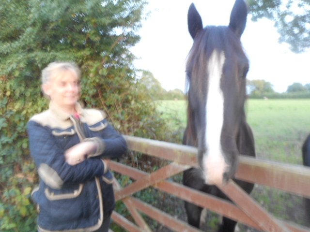 RedworldToys's tweet photo. #Redworldtoys After working for The British Horse Society for 20 years I have always had a passion for horses and now enjoy running an online toy business since 2009,selling Breyer and Collecta model horses via website and ebay.View our range via this link https://t.co/i6pgjSh3zN https://t.co/SKEKyhYGsz