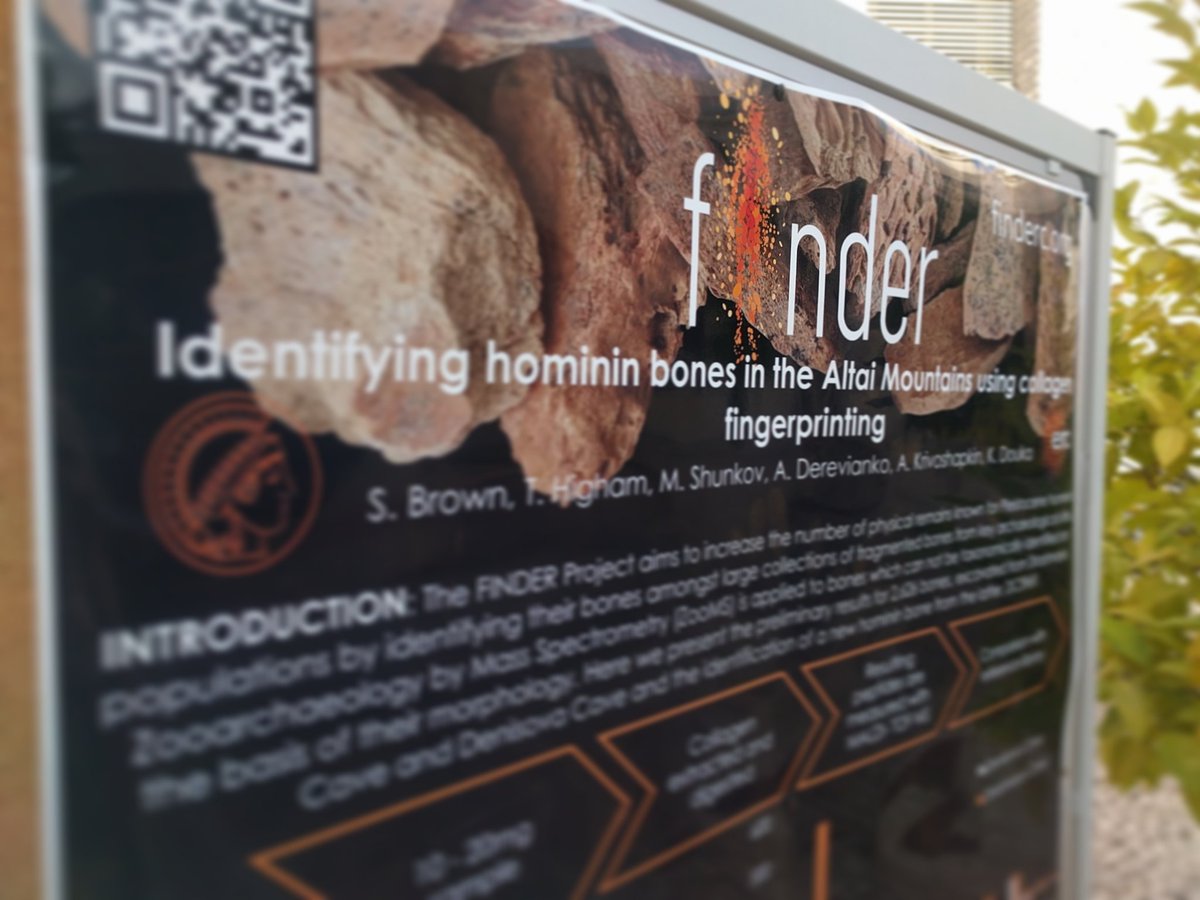 DrSamBrown's tweet image. Poster session 2 is starting #ESHE2018! Let&apos;s talk #ZooMS and the #FINDER_Project!