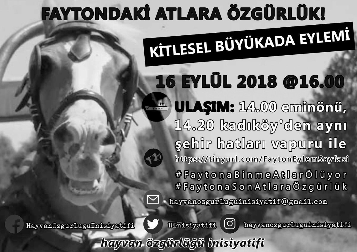 ei8hty_ei8ht's tweet photo. 🔊 16 Eylül Pazar günü
#AtlarIcinBuyukadaya 🐎🐎🐎

ULAŞIM:
14:00 Eminönü'nden
14:20 Kadıköy'den

#FaytonaSonAtlaraÖzgürlük
#FaytonaBinmeAtlarÖlüyor https://t.co/xI1jPBB3P9