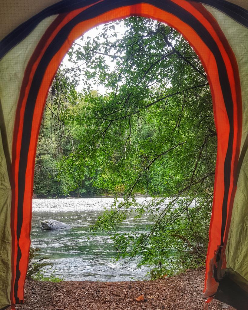 toshakristensen's tweet photo. Not a bad way to wake up! #olympicnationalpark #olympicpeninsula #queets #river #forrest #trees #camping #vacation #travel #outdoors #nature #view https://t.co/o4fI9wlWEK