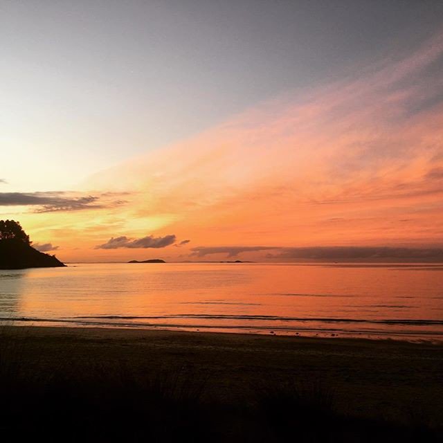 Reposting @onthebayretreat:
Visiting #beautiful #waihekeisland . An amazing #sunset on the last night 😊 #beach #islandlife #newzealand #purenewzealand #holiday #travel #vacation #earthporn