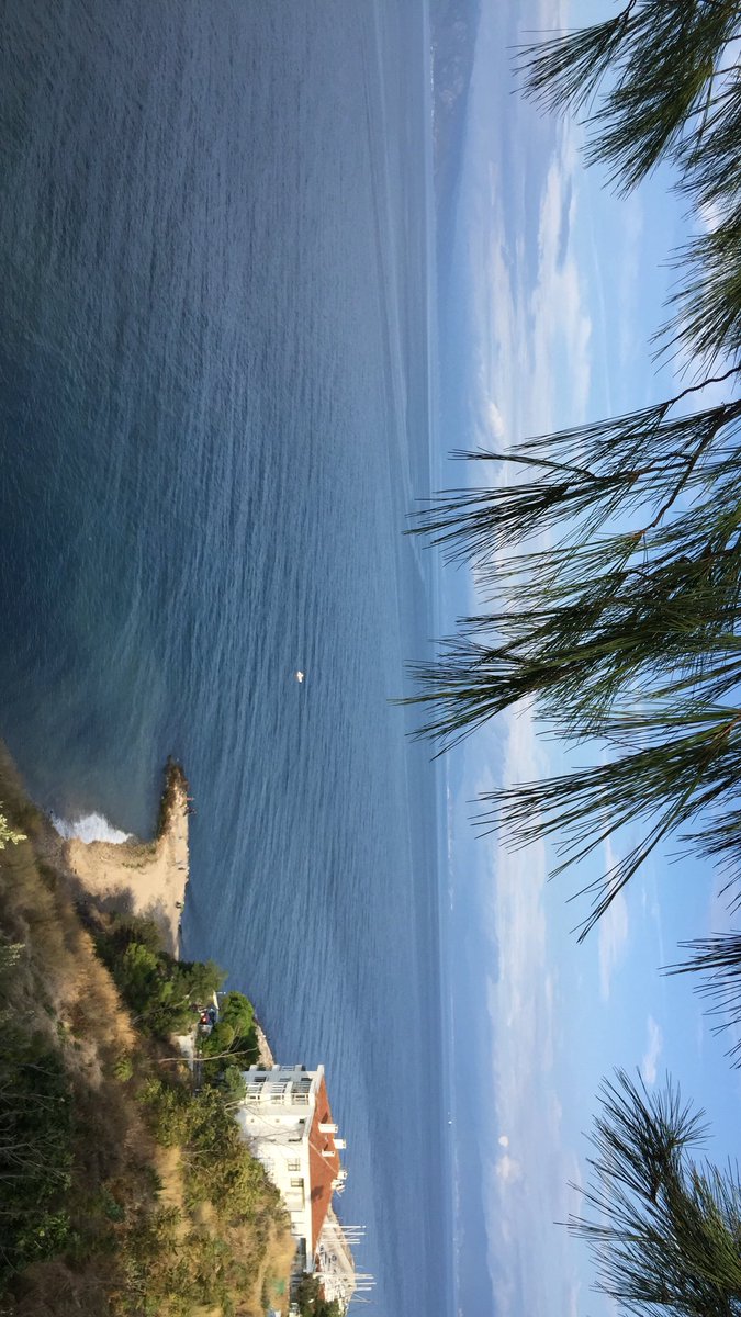 Şöyle seninle mi diyorduk