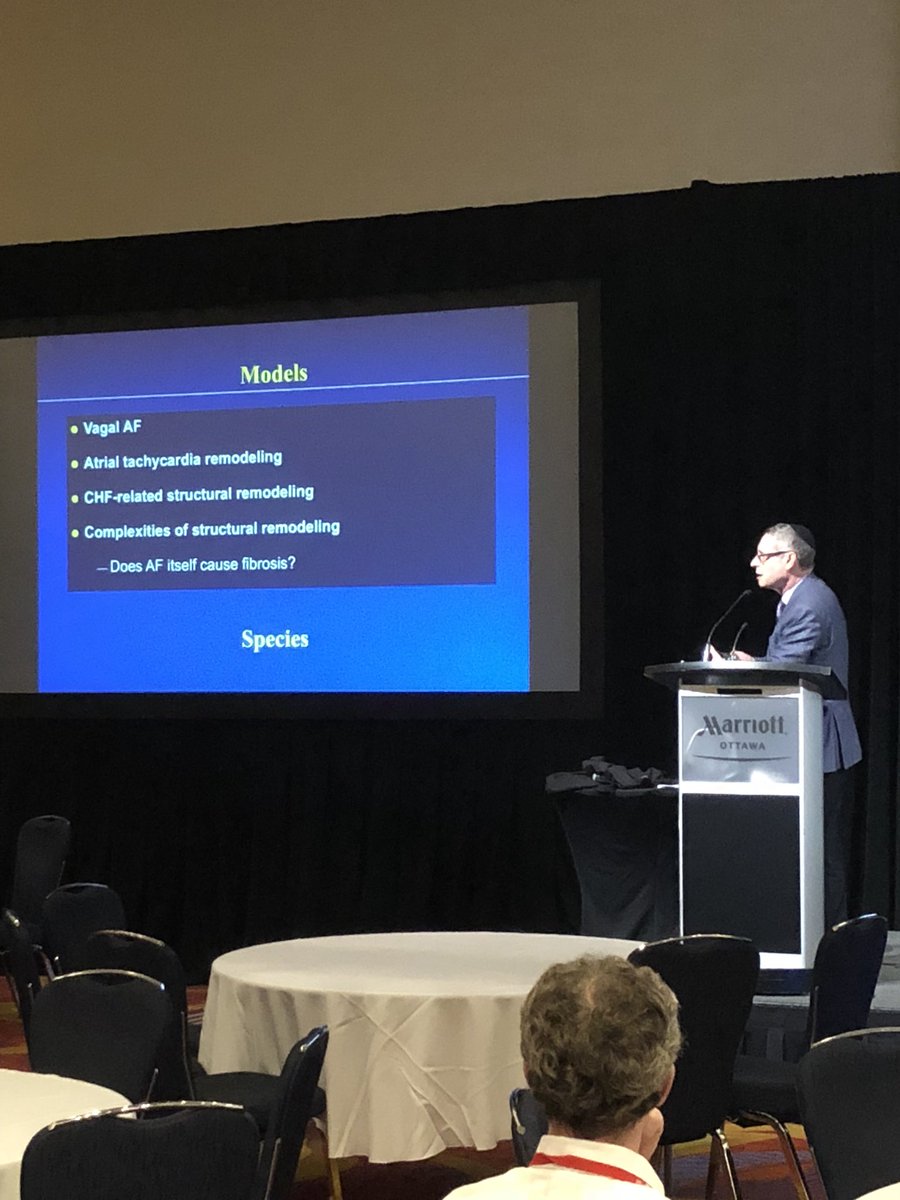 Dr Stanley Nattel, Editor-in-chief of @SCC_CCS_CJC on pre-clinical models of AF. #CHRS2018