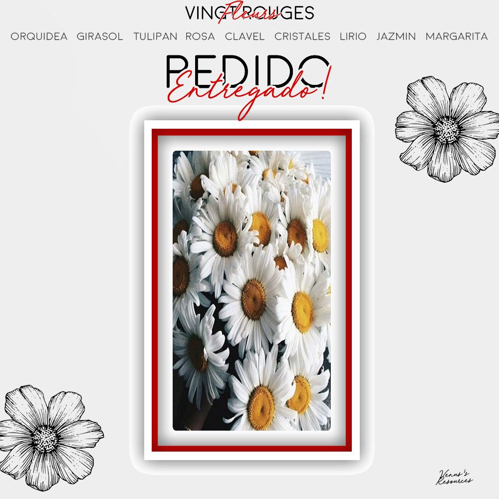 ❝Chère Gina; <a href="/hadesdomain/">Aiden.</a>.❞

                                 Stephen te ha dejado un increíble ramo de rosas y margaritas sólo para ti ¡esperamos que sea de su agrado!

                                         —VFR. 🌸