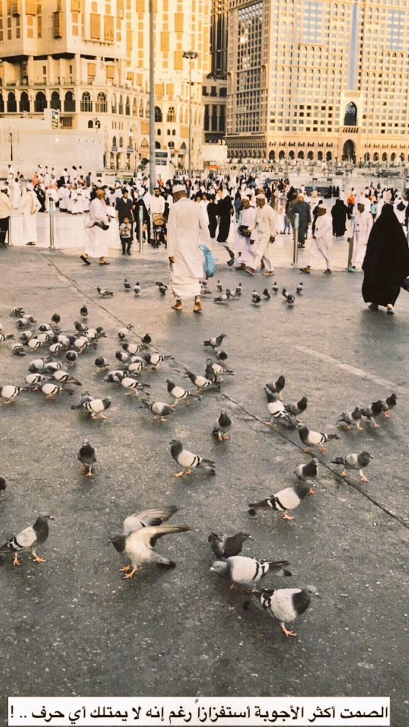 سبحآن الله (@omair222245) on Twitter photo 