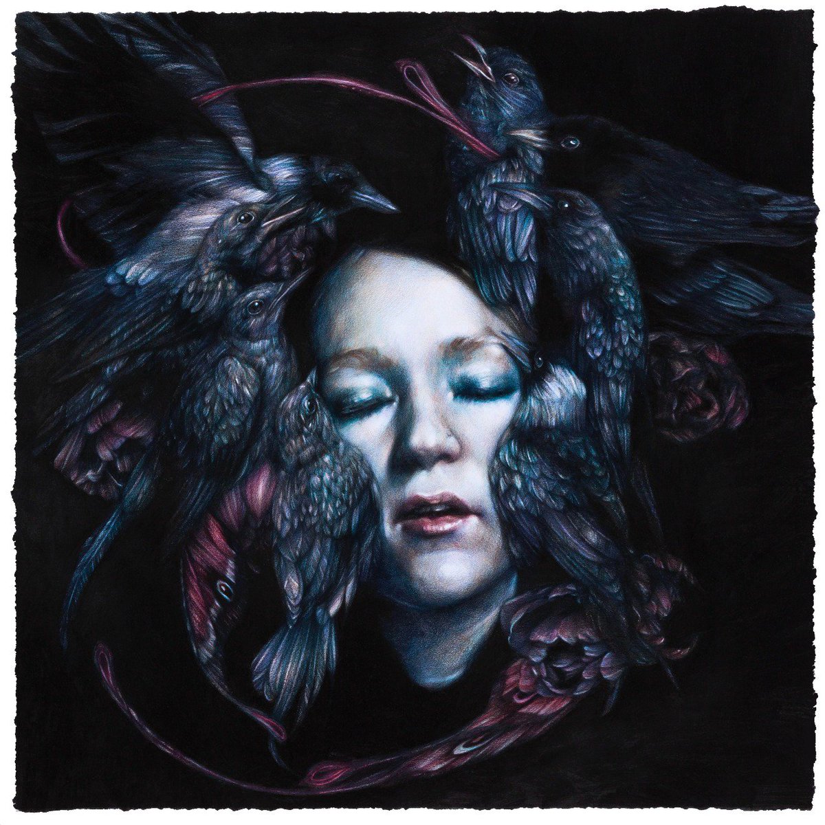 Diving Bell Records tweet media