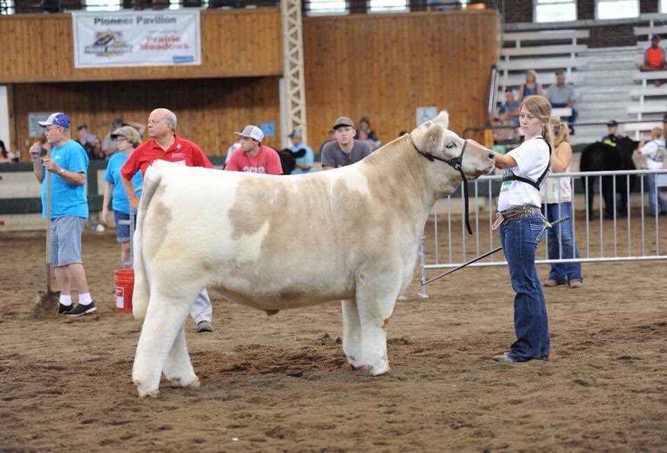 mattlautner's tweet photo. Dave Strolberg One In The Chamber Game Is Strong
-
Tag 98 One In The Chamber x Luvy Steer @ $14,500 With 8 Bidders Remaining #BreedLautner #Nebraska #TelephoneBidoff https://t.co/xxkTqaGf6U