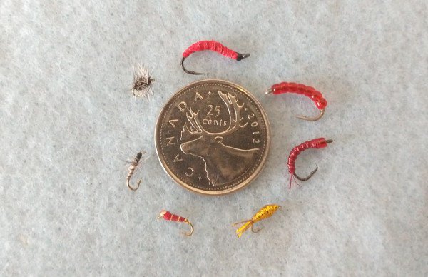 TheJigHead's tweet photo. Micro Fishing with a Fly Rod https://t.co/iNEYl0kjQh #microfishing #roughfishing #flyfishing #flypatterns #fishing https://t.co/pnfZkv8K1W