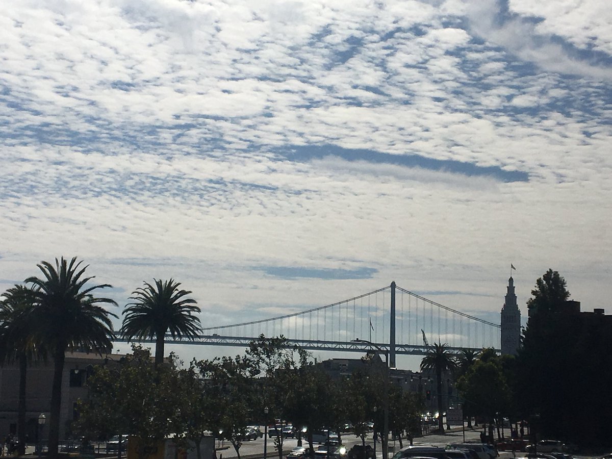 MikeNiccoWX's tweet photo. I know I’ve said this a lot lately but look up now. A rare phenomenon, #fallstreak hole or #punchcloud, occurring in several parts of this cloud deck over the bay area. https://t.co/MGYChSlyKe
