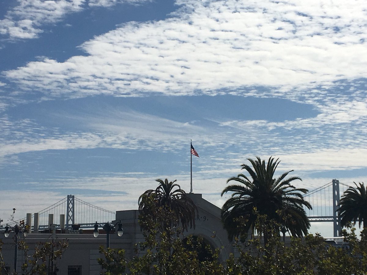 MikeNiccoWX's tweet photo. I know I’ve said this a lot lately but look up now. A rare phenomenon, #fallstreak hole or #punchcloud, occurring in several parts of this cloud deck over the bay area. https://t.co/MGYChSlyKe