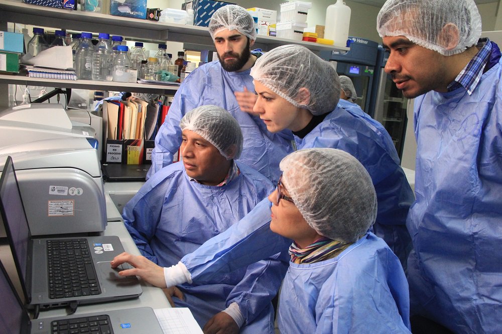 INS_Peru's tweet photo. Destacan el trabajo del @INS_Peru en la investigación e identificación de nuevos #virus
► https://t.co/BvSOylfA52
#InsInforma https://t.co/87yHTWBaxp