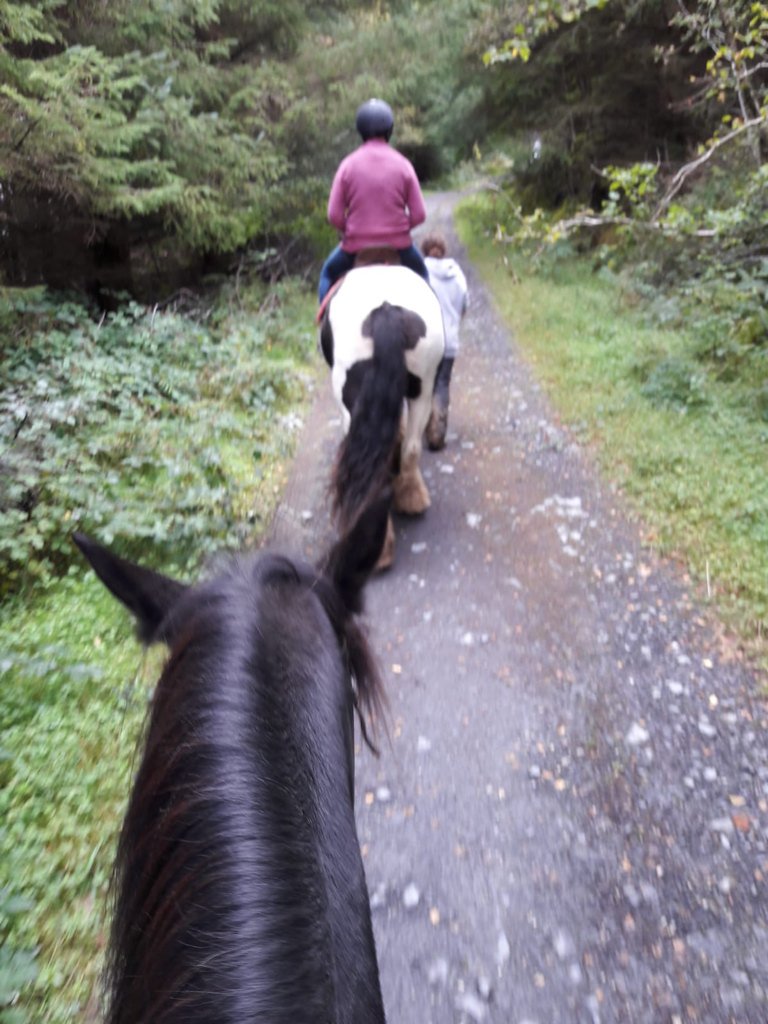 BerylCoates's tweet image. 