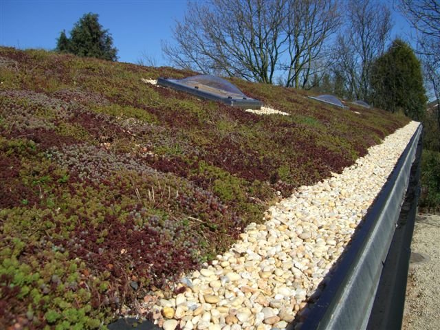 TopsealSystems's tweet image. Topseal GreenTop can be used to create a totally bespoke green roof based exactly on your requirements. #Ingenuity #DifferentDesign #SoundInsulation #EnergySavings