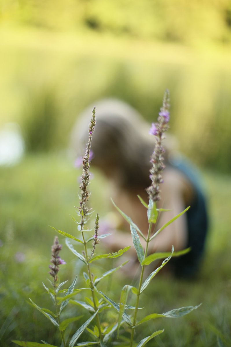 De retour sur le blog avec un article sur nos vacances en cabane elodielove.com/madamelove/201…